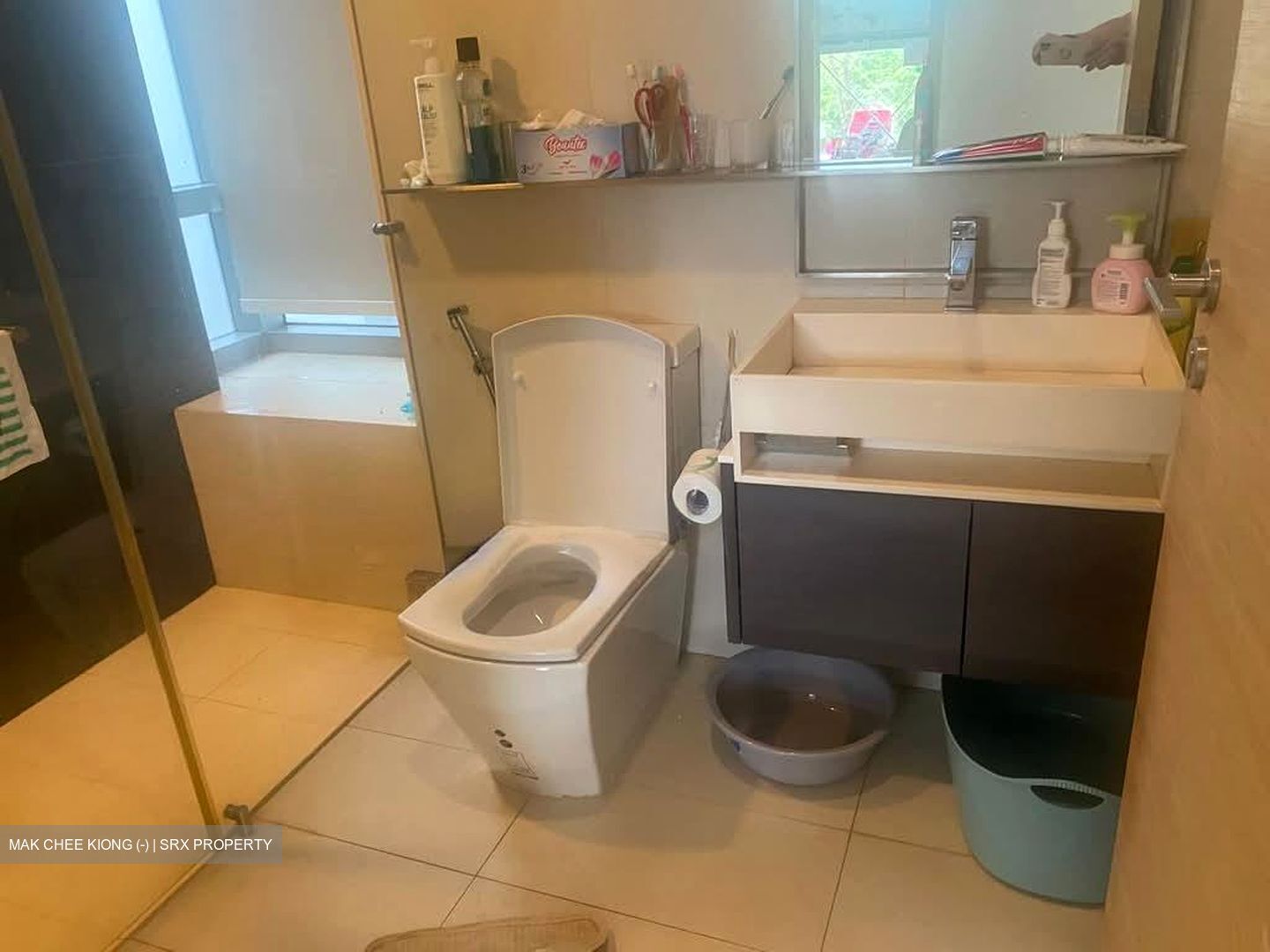 SilverSea (D15), Condominium #591300471